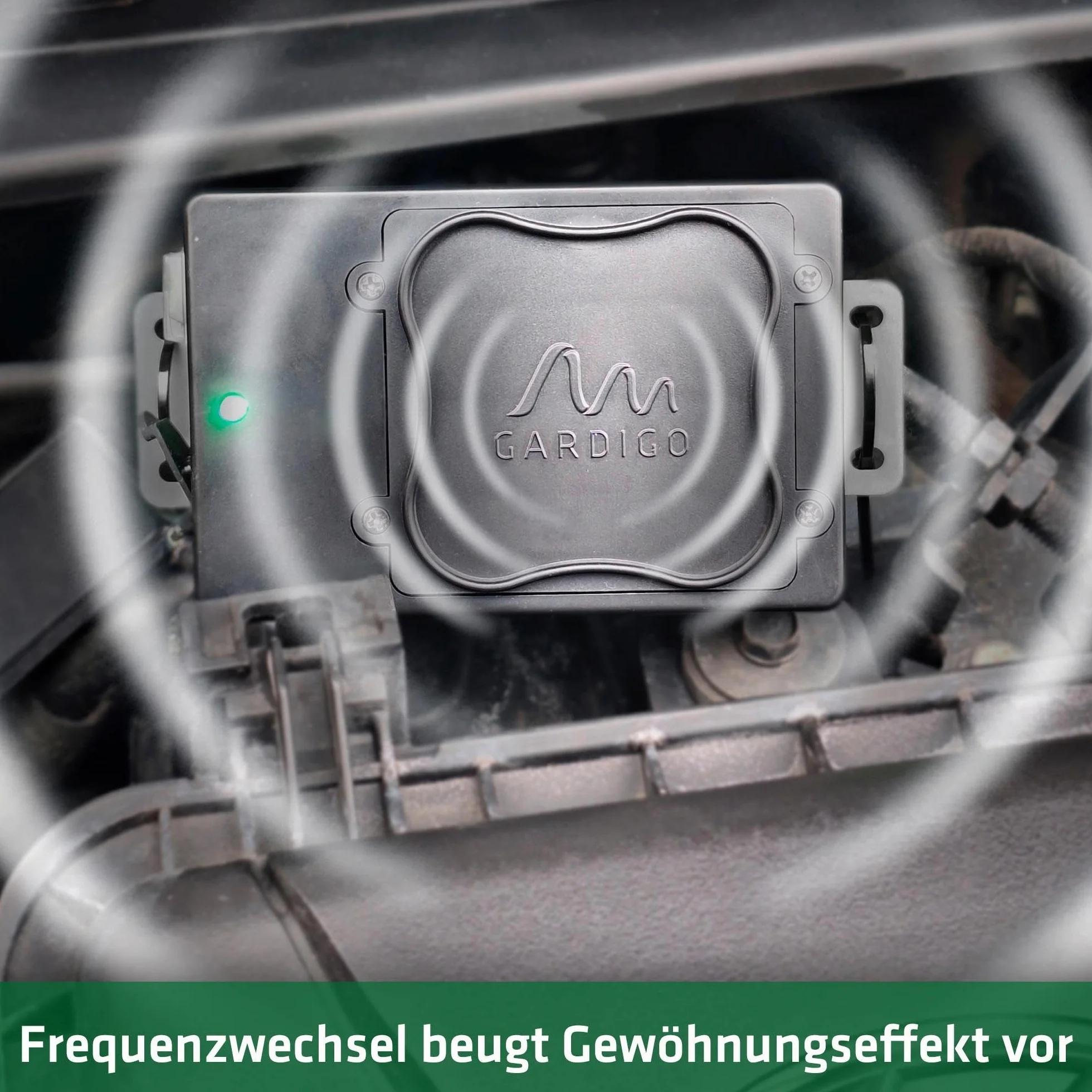 Gardigo® Marderschreck Auto Batteriebetrieben | Ultraschall Marderabwehr | 12-24 kHz | Batterietausch ohne Ausbau | Mobiler Marderschutz für KFZ, Motorraum, Dachboden, Haus | Marder vertreiben