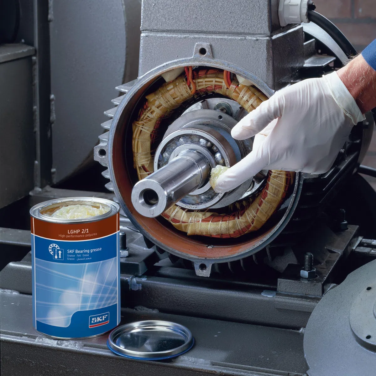 SKF LGHP 2/1 Lagerfett, 1 kg Dose